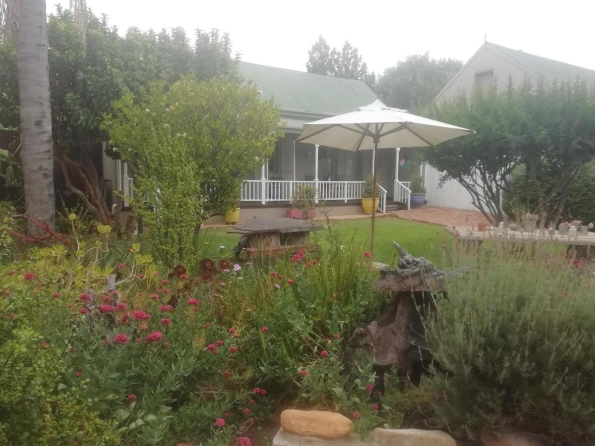 Housemartin Lodge & Self Catering De Rust Exterior photo